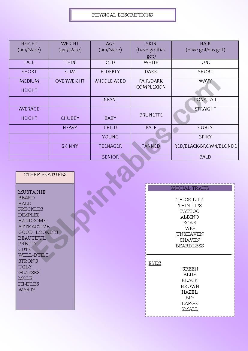 Physical Descriptions worksheet