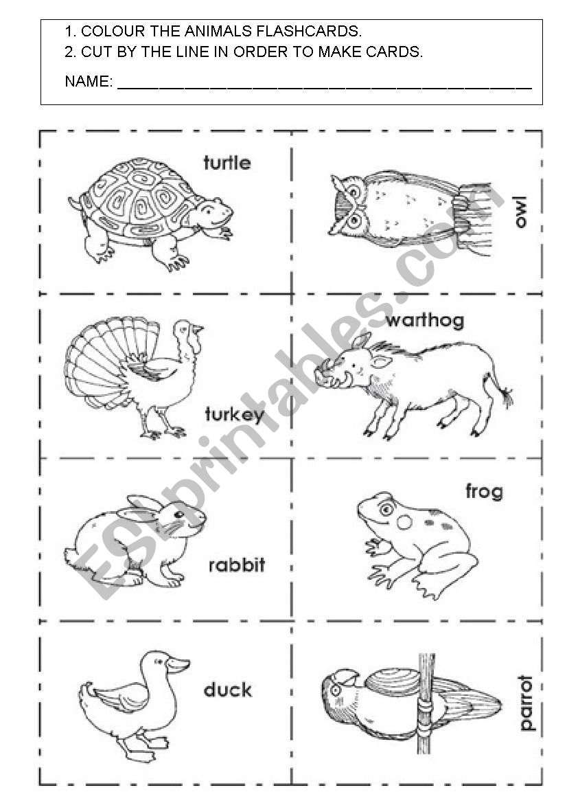 Animals flashcards worksheet