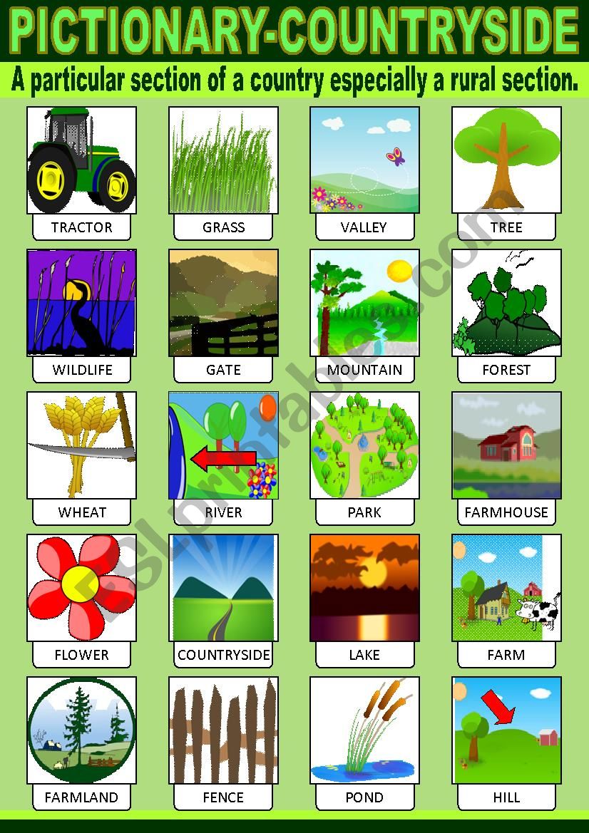 Countryside Pictionary worksheet