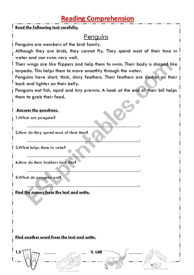 Reading Comprehension worksheet