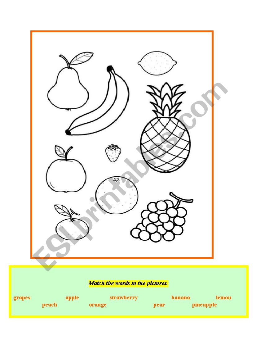 fruits-exercises worksheet