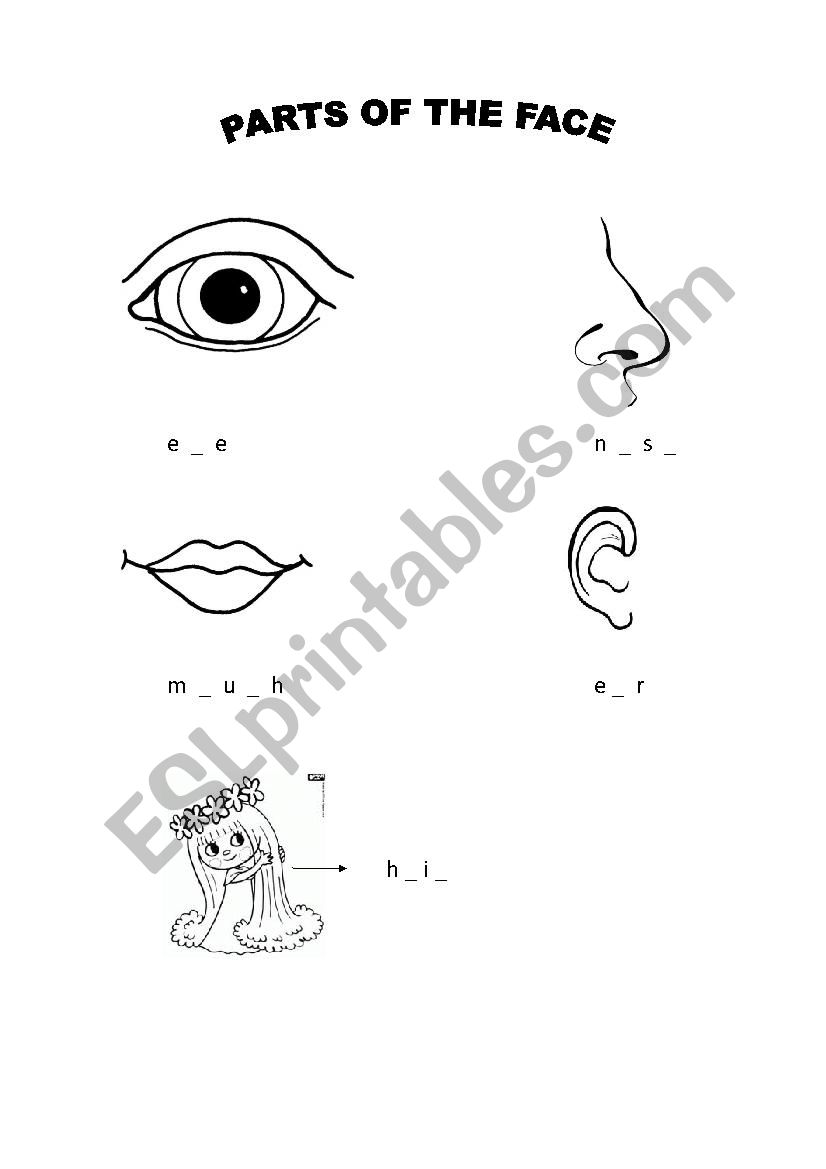 parts of the face worksheet