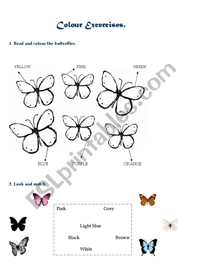 Colours Worksheet worksheet