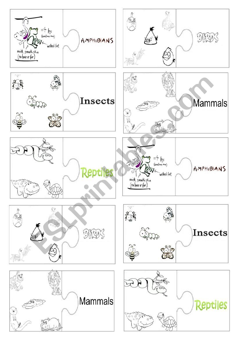 Vocabulary jigsaw worksheet