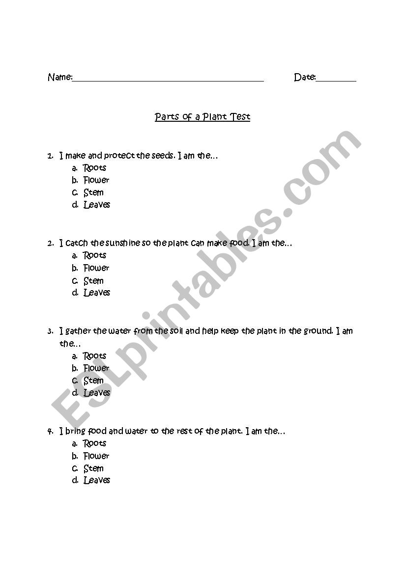 Parts of a Plant Test worksheet