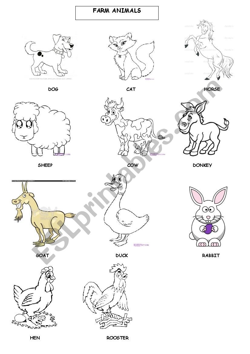 FARM ANIMALS worksheet