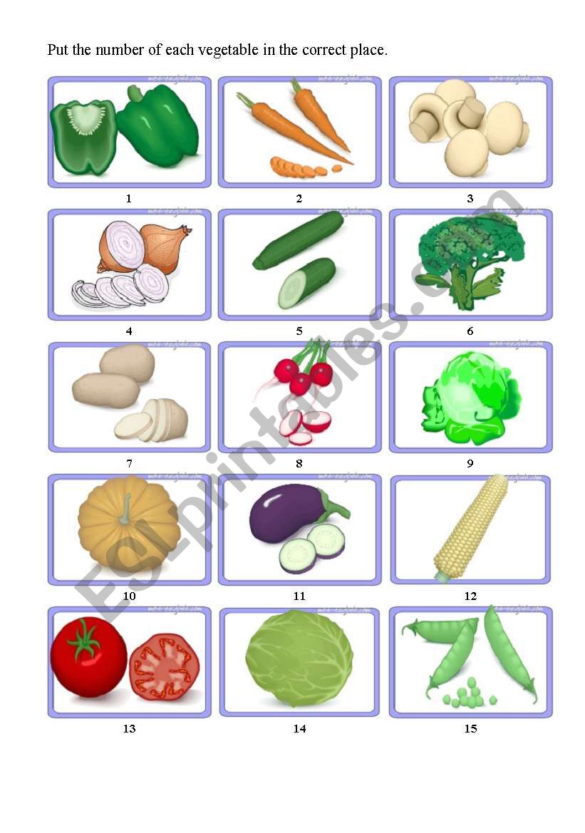 vegetables worksheet