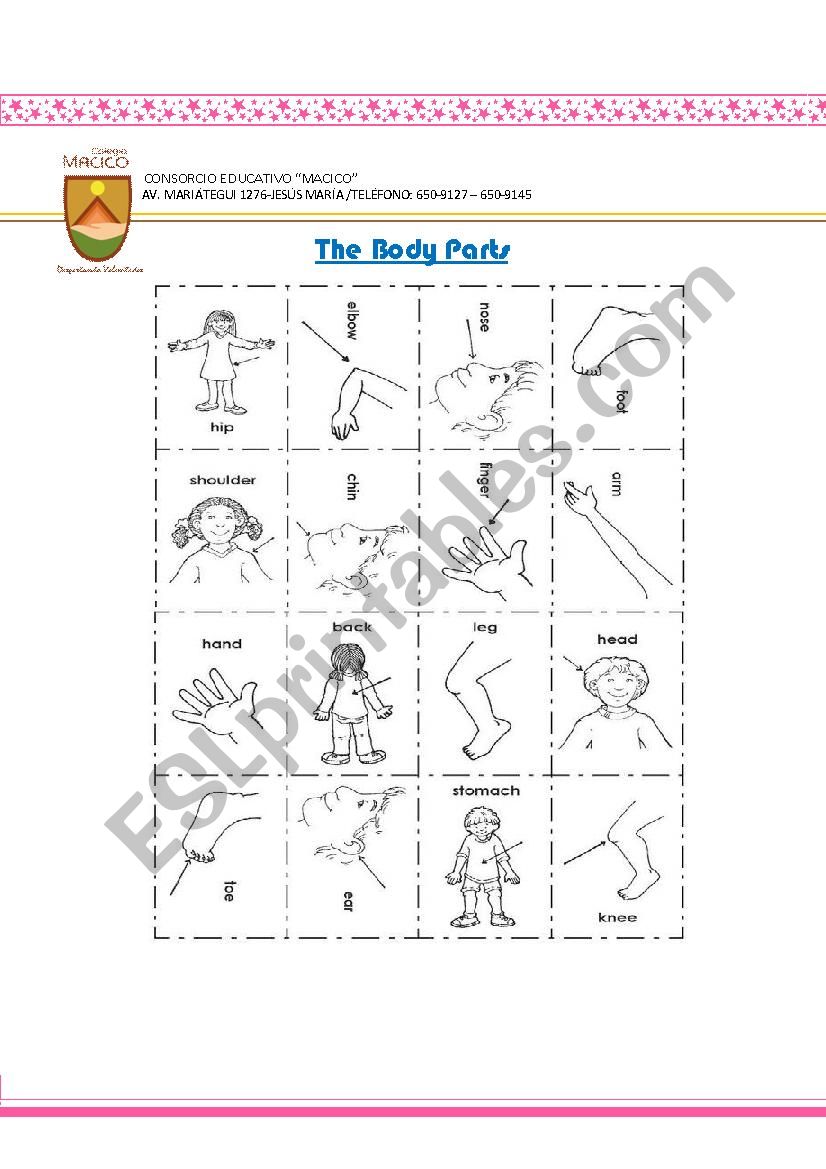 The body parts worksheet