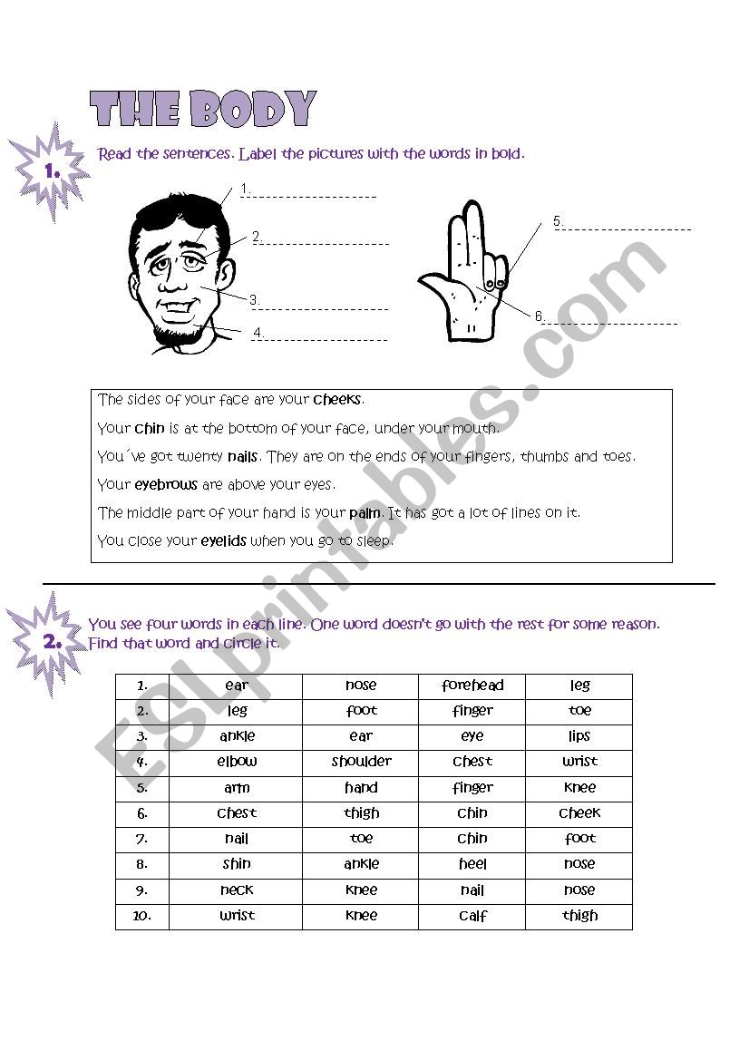 Practising the vocabulary of BODY PARTS