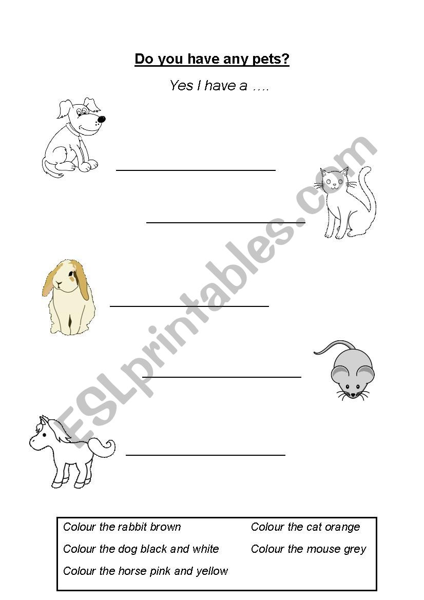 Do you have any pets? worksheet