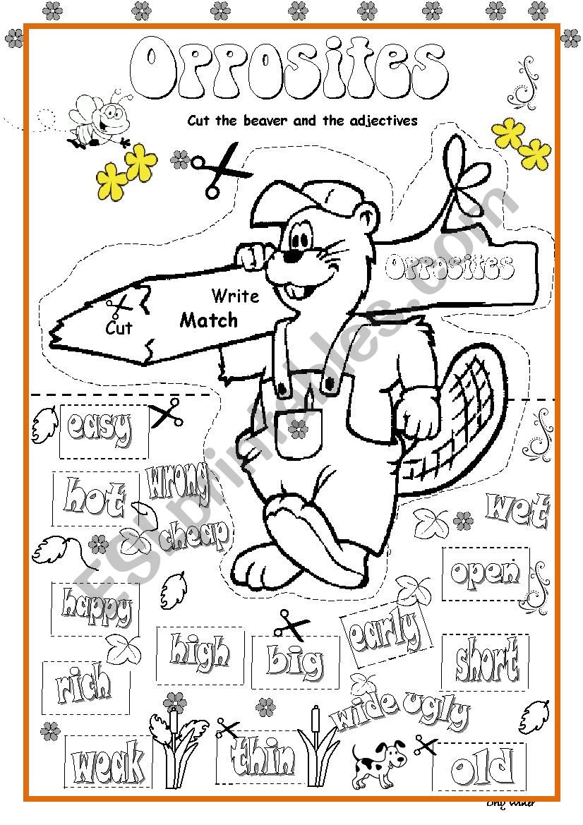 Opposites worksheet