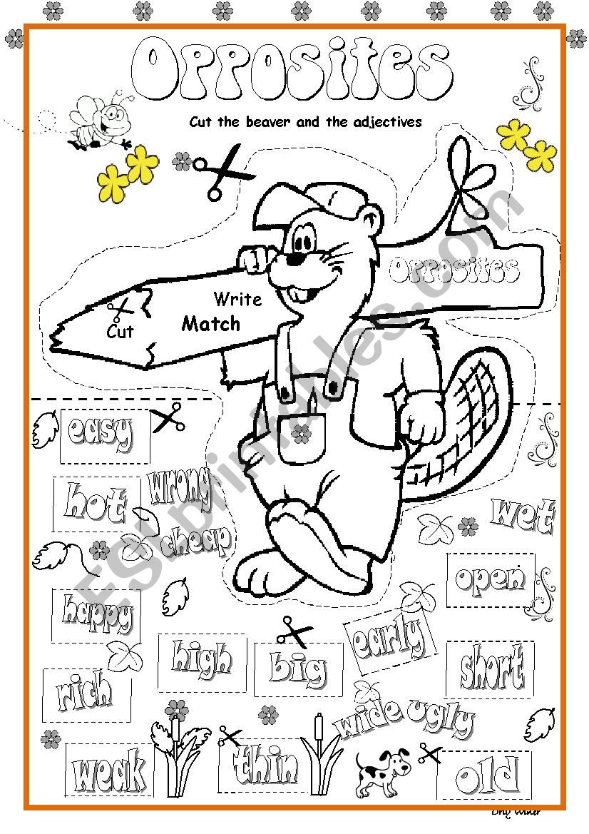 Opposites worksheet