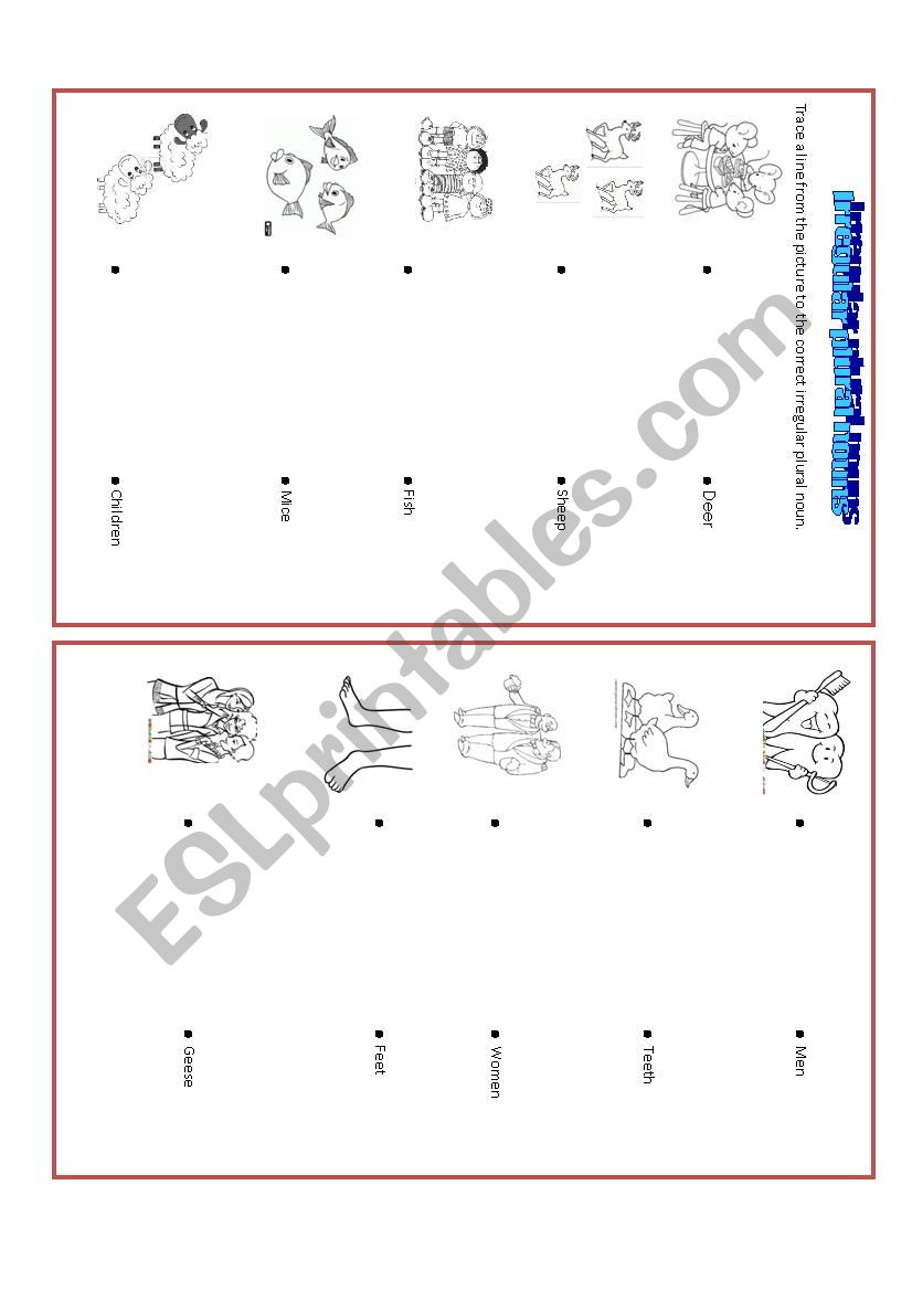 Irregular plural nous worksheet