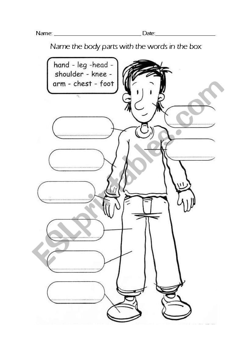 Body Vocabulary worksheet