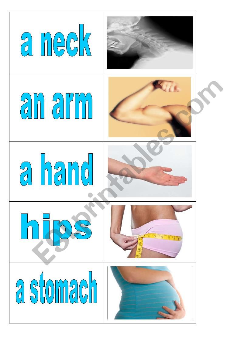 Body parts - cards 1 of 5 worksheet