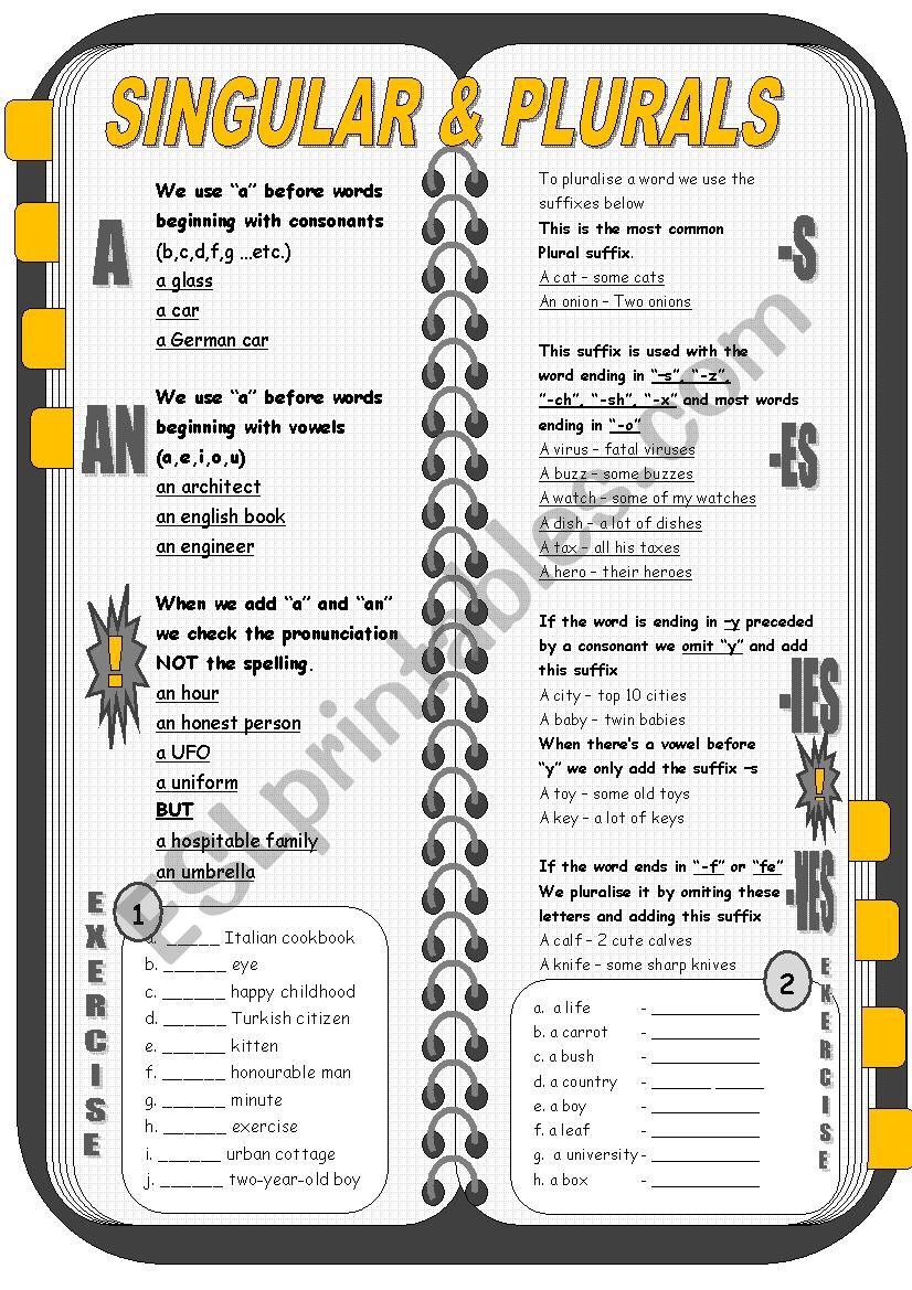 Singular and plural nouns  worksheet