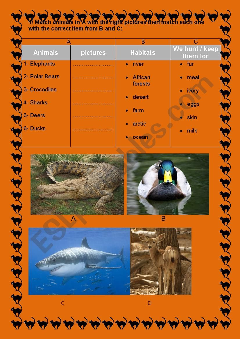 ANIMALS PART 1 worksheet