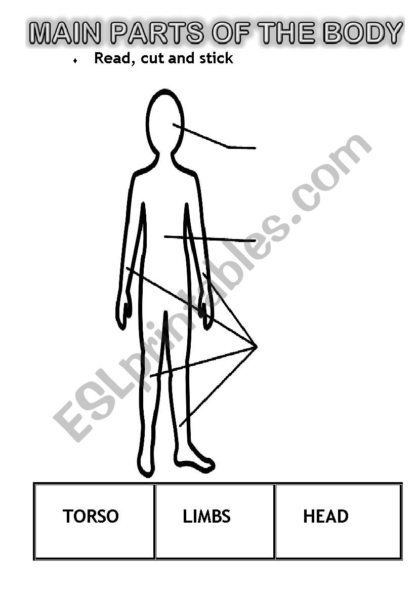 Parts of the body worksheet