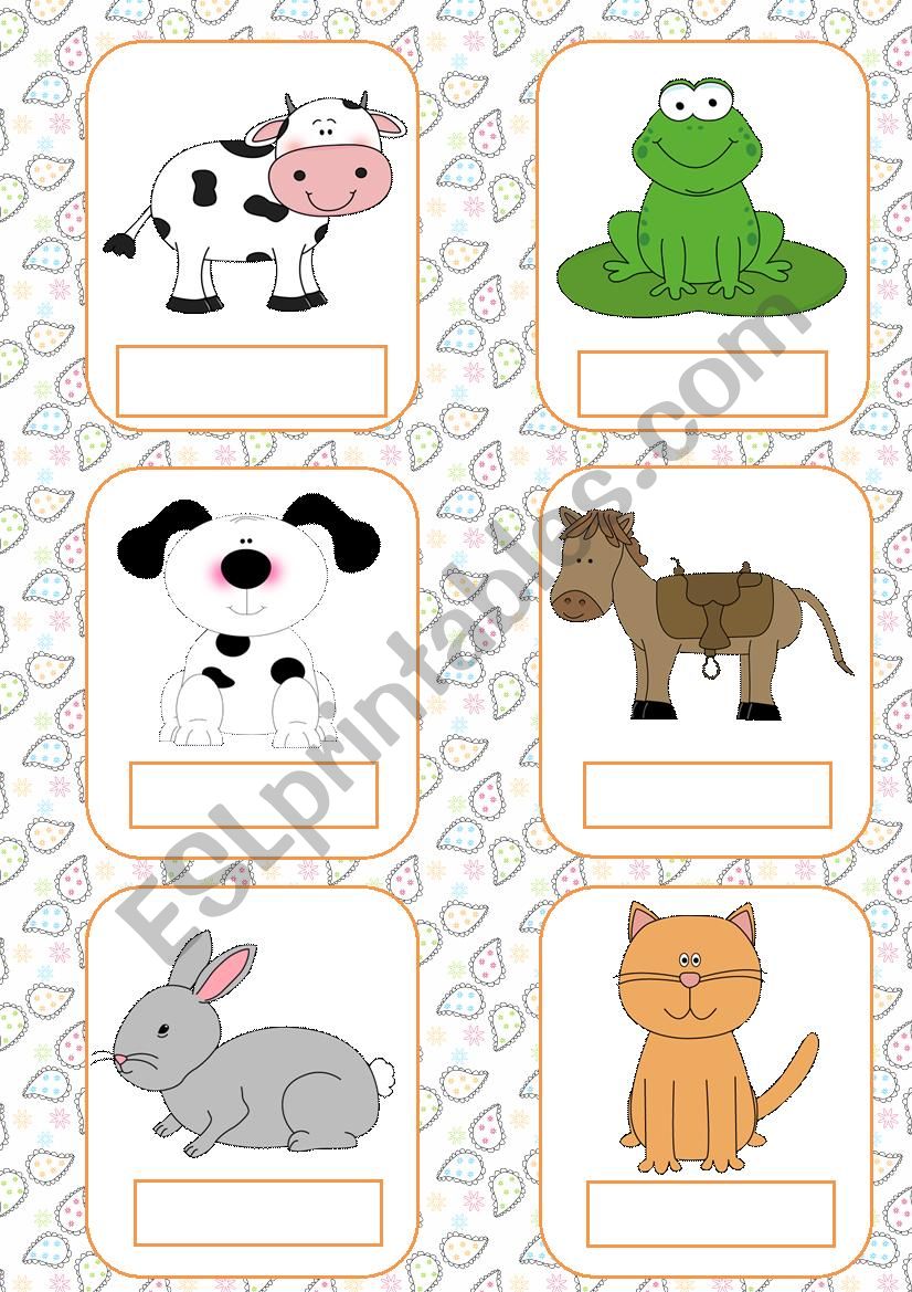 Animals flashcards (part 1) worksheet
