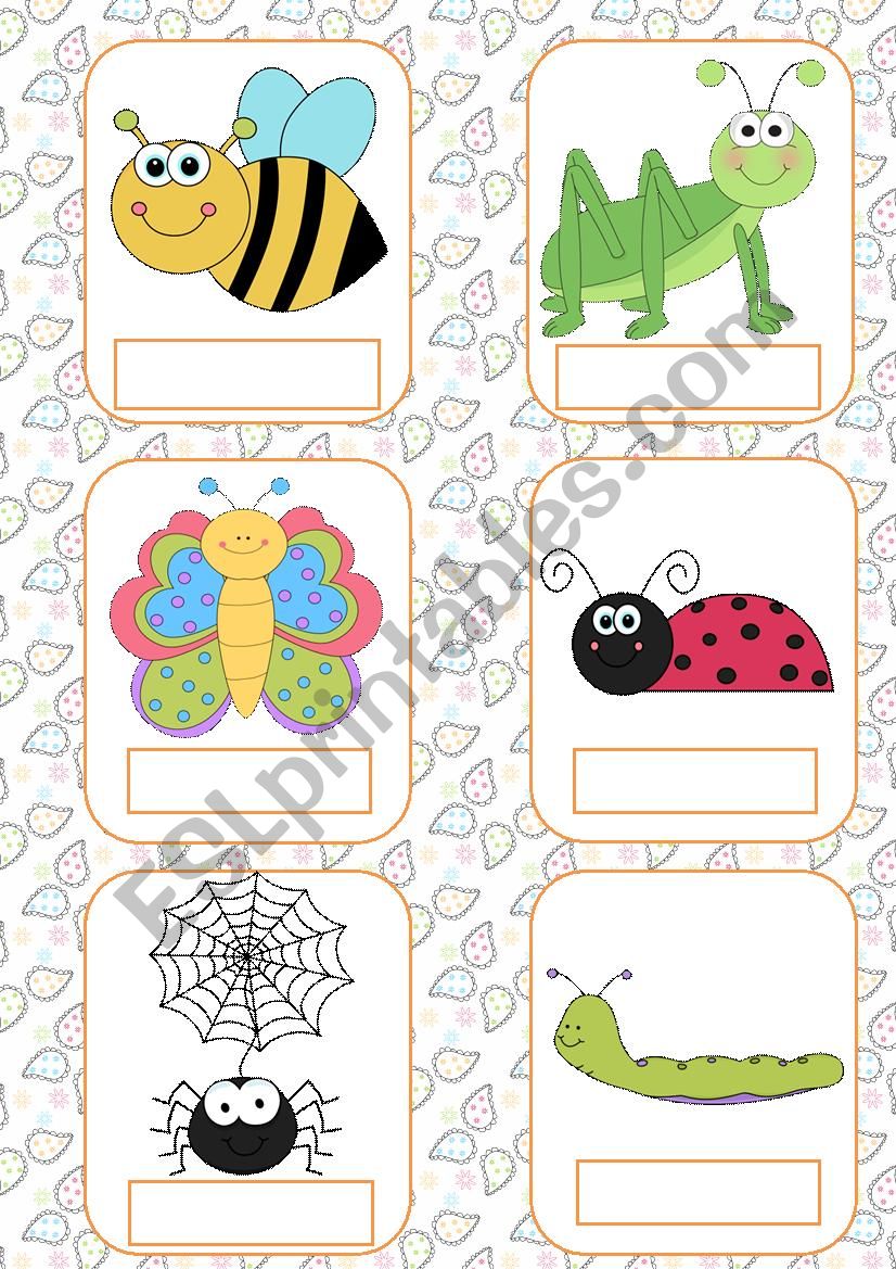 Insects flashcards worksheet