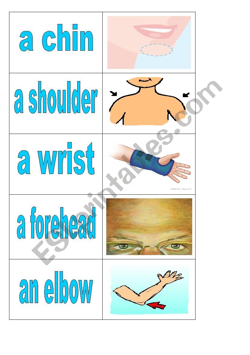 Body parts - cards 3 of 5 worksheet