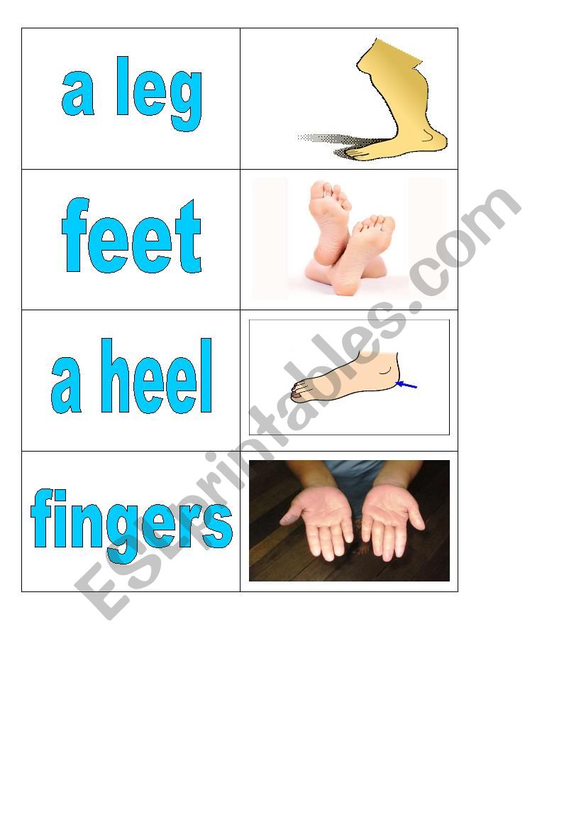 Body parts - cards 5 of 5 worksheet