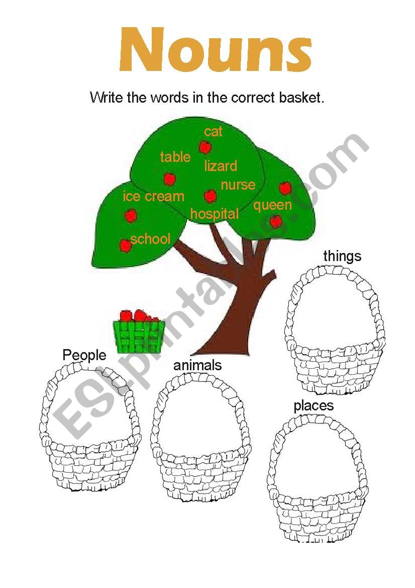 nouns worksheet