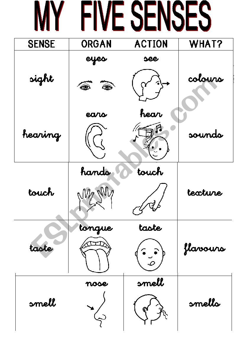 Five senses posters worksheet