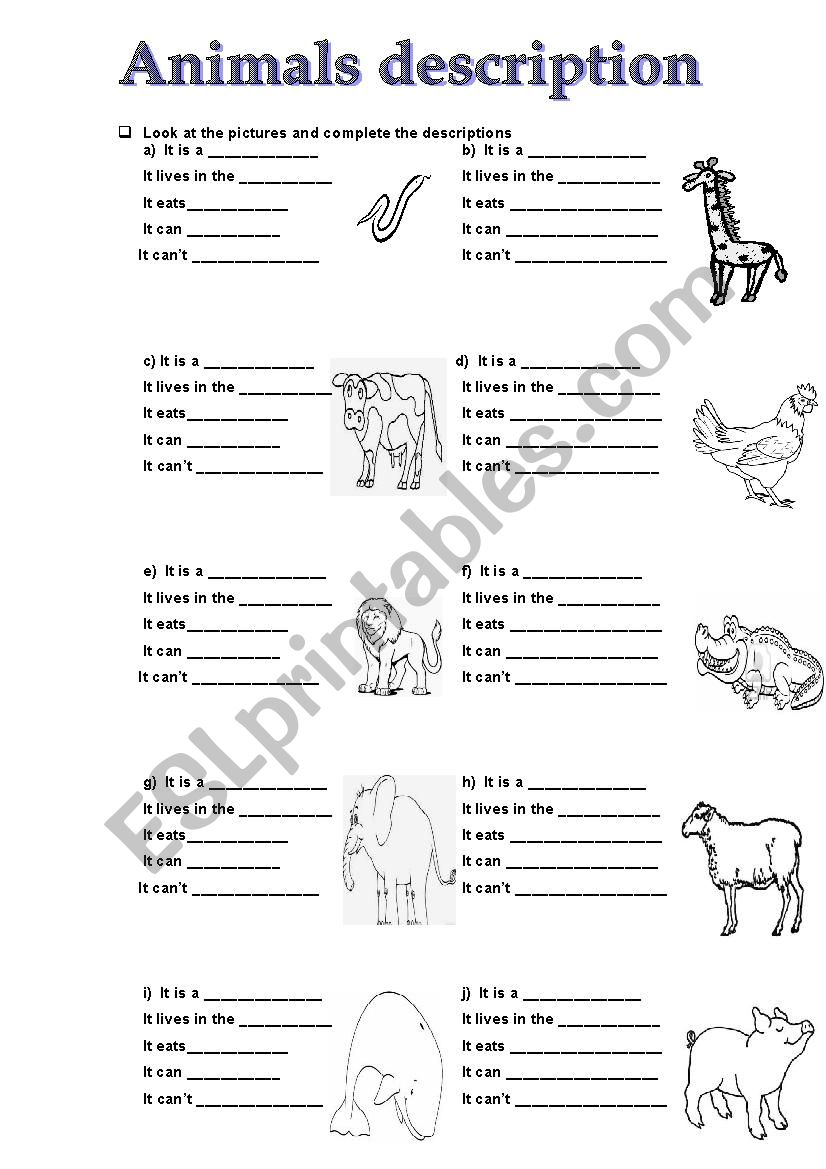 Animals description worksheet