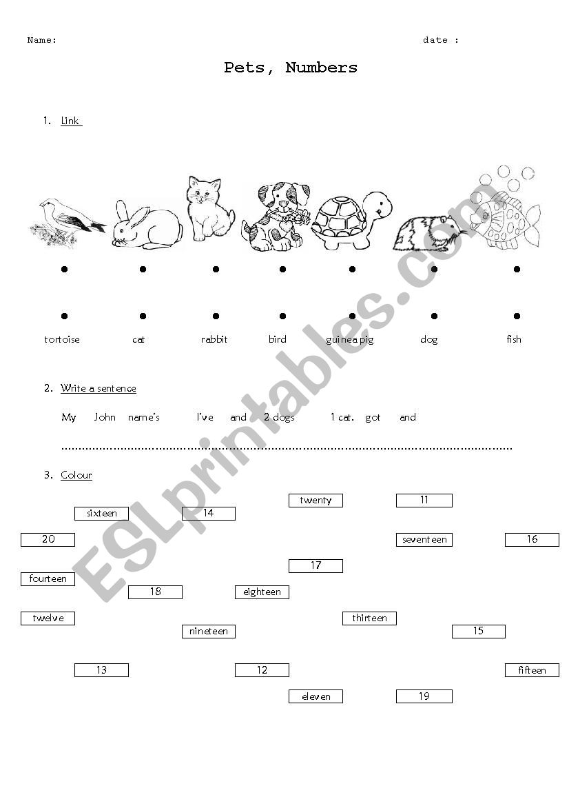 Pets, Numbers worksheet