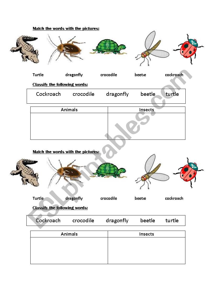 animals & insects worksheet