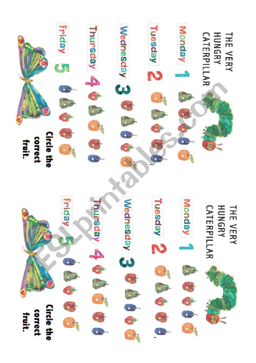 The Hungry Caterpillar worksheet