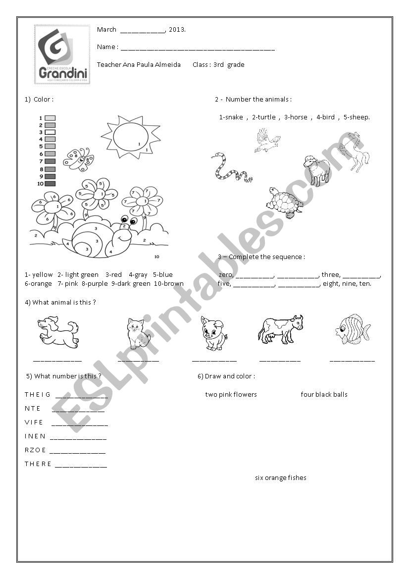 test  worksheet