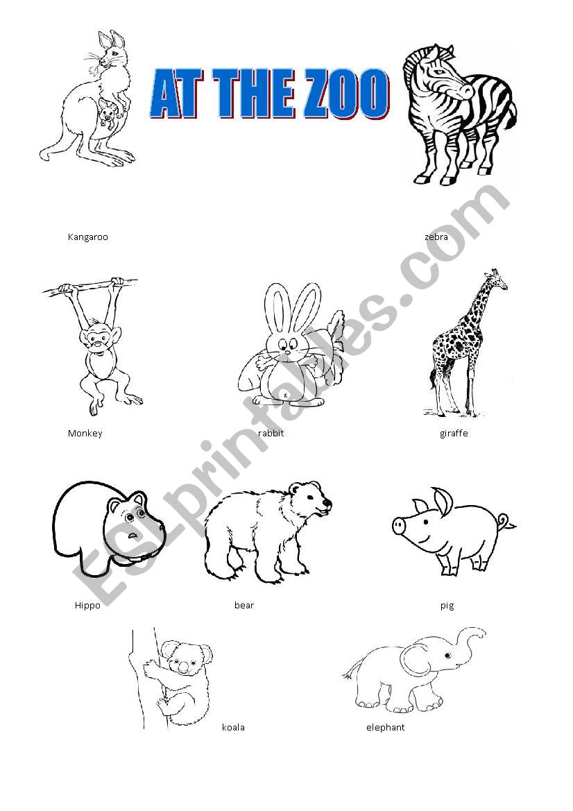 at the zoo worksheet