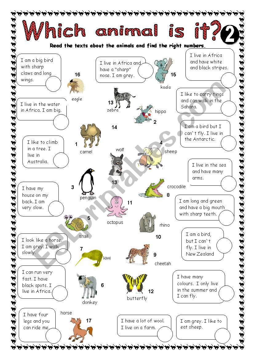 which animal is it? 2 worksheet