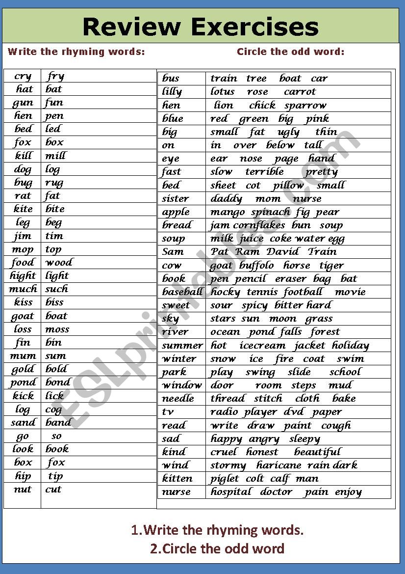 Revision Exercises worksheet