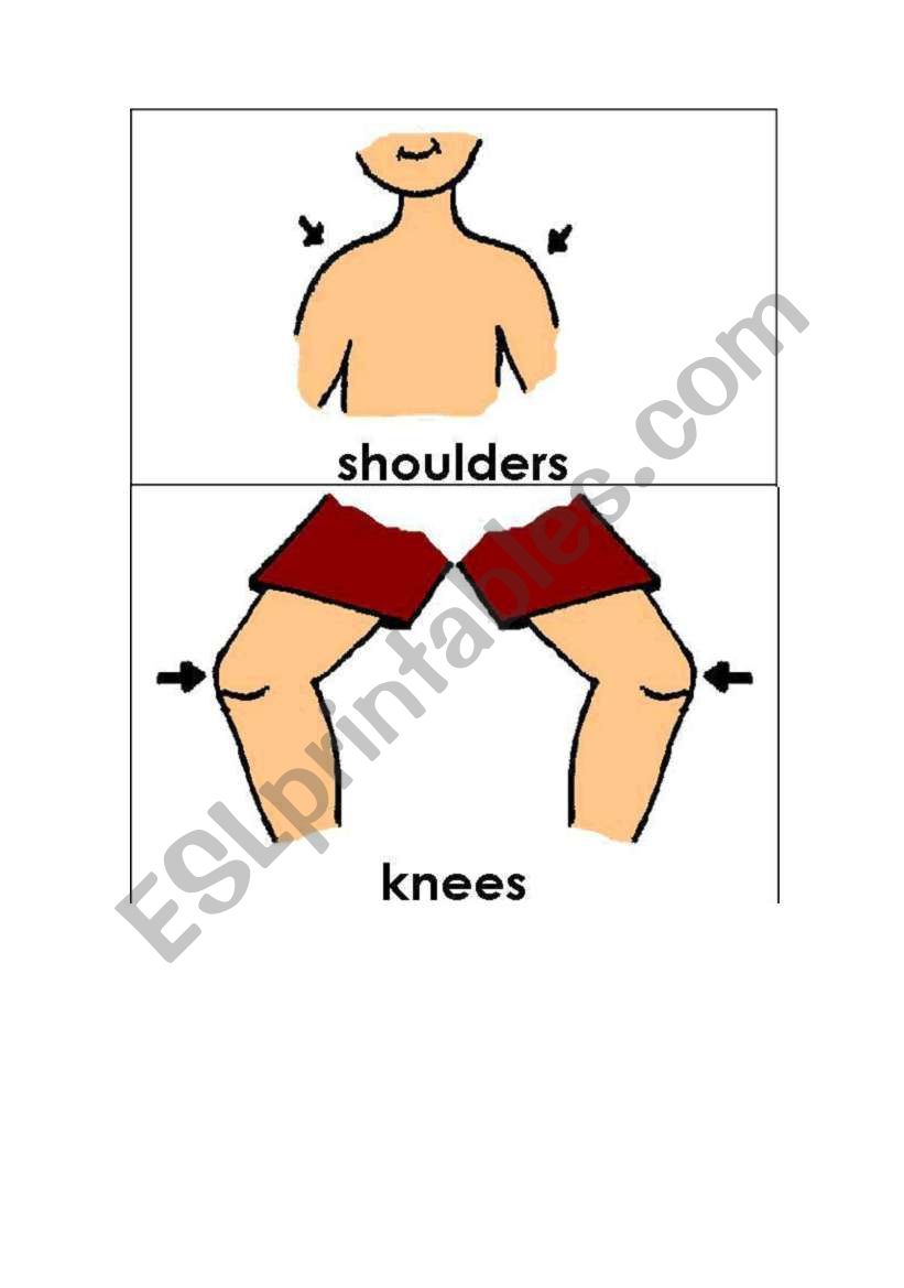 body parts part 2 worksheet