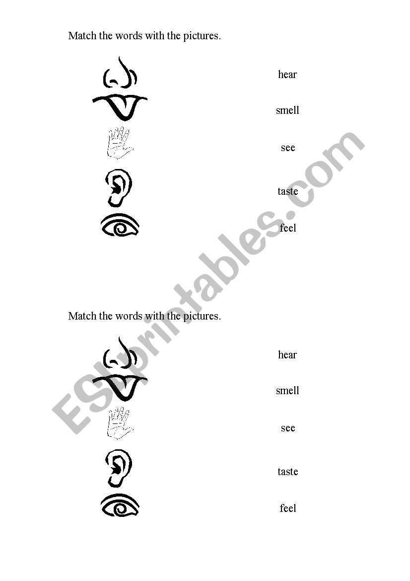 Senses worksheet