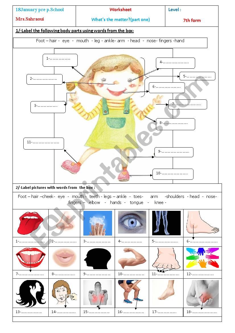 body-parts-p1-esl-worksheet-by-moemendhia