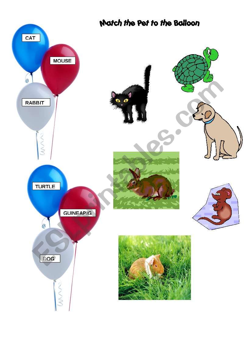 Match the pet to a balloon worksheet