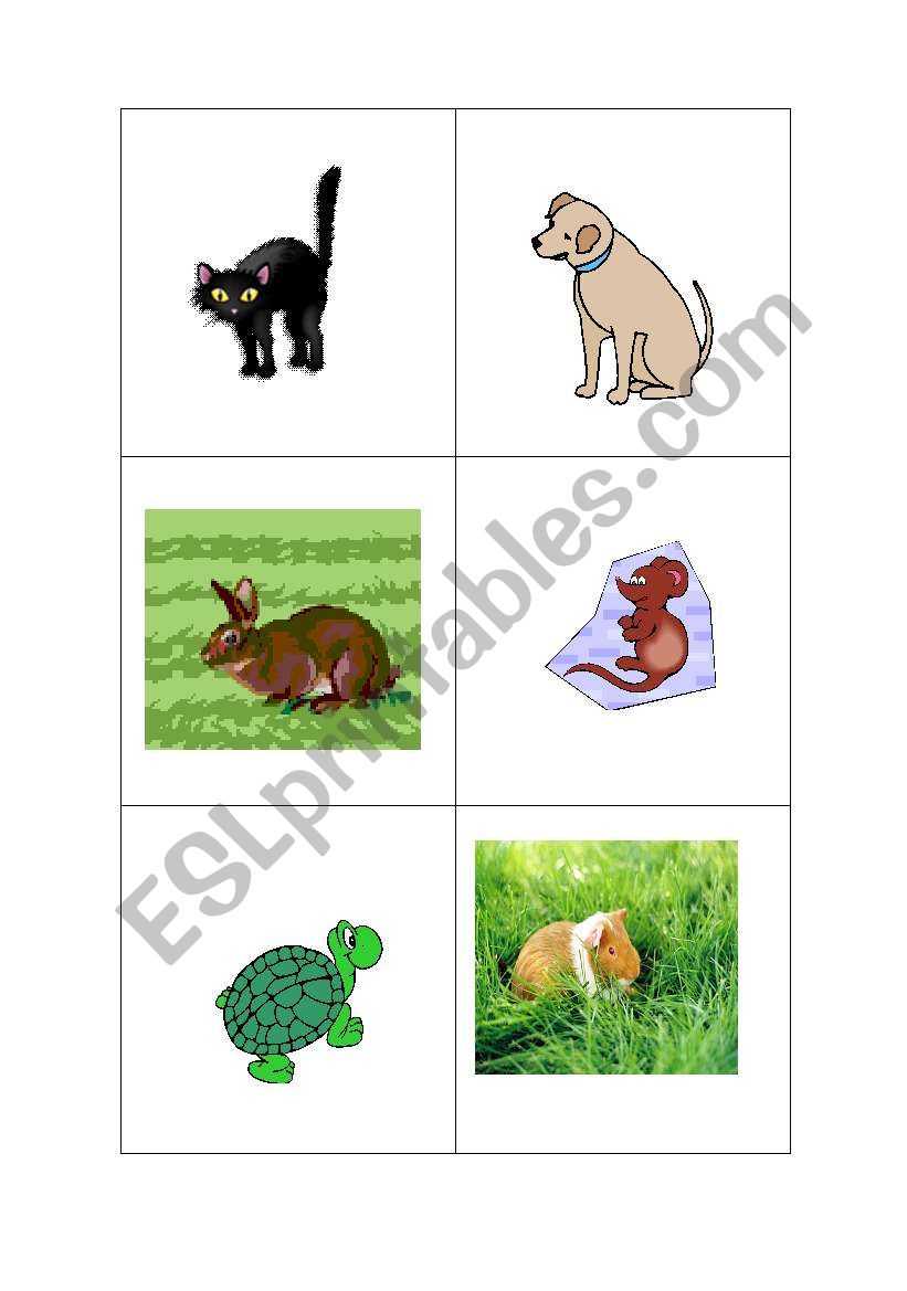 family pets flash cards worksheet