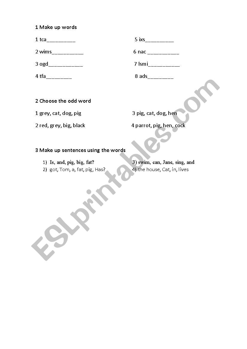 a test for kids worksheet