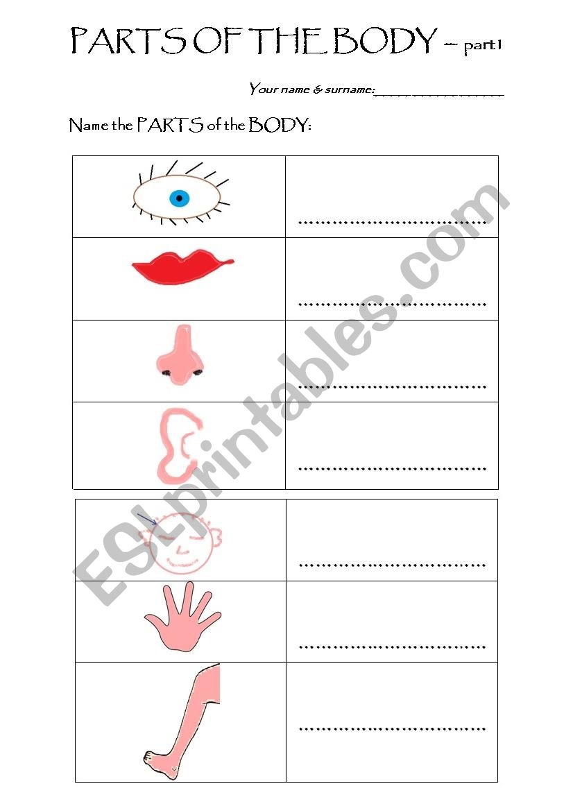 Parts of the body - TEST - part 1