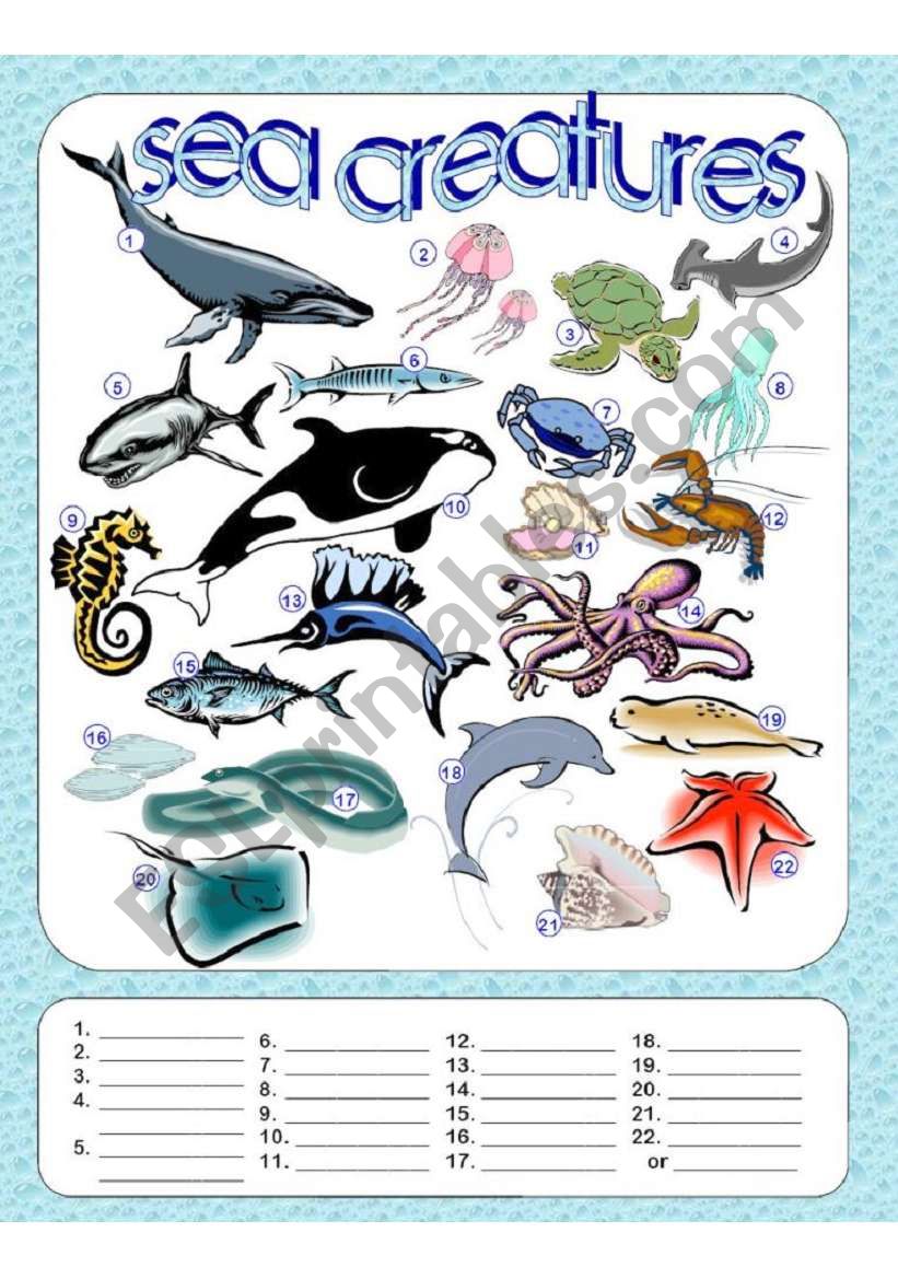 Sea Creatures Fill in the Blanks