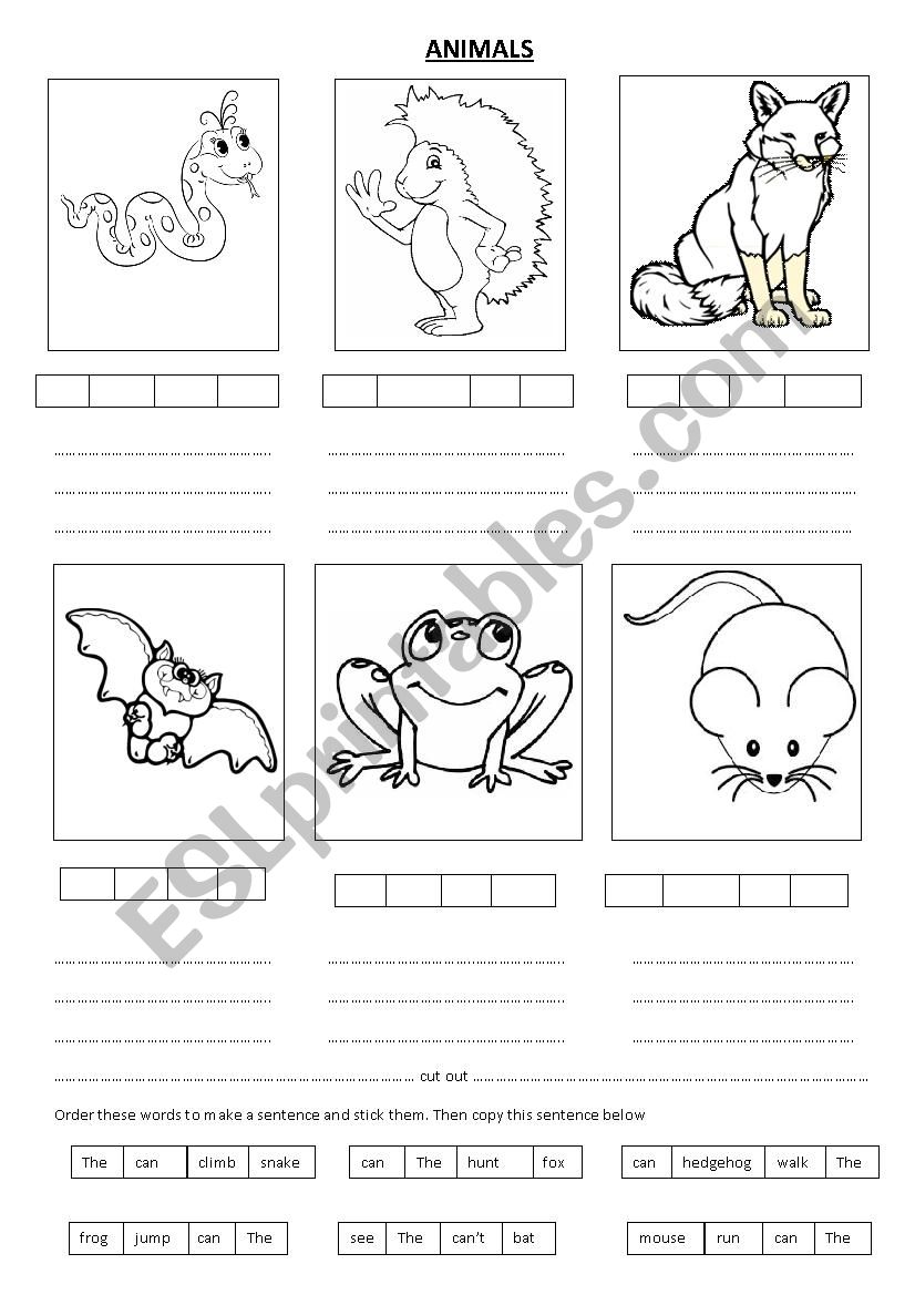 Animals worksheet