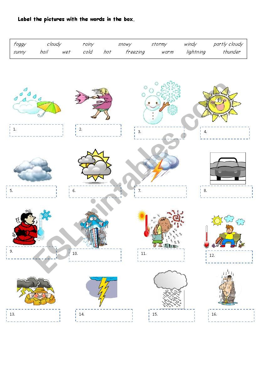 WEATHER worksheet