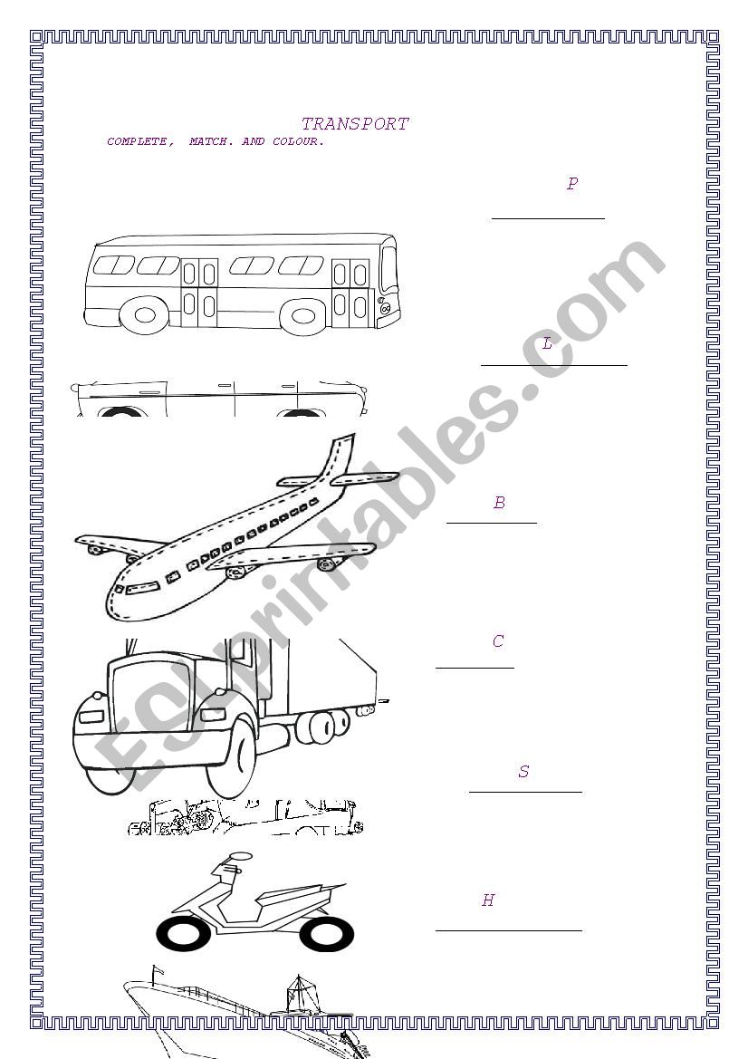 TRANSPORT. worksheet