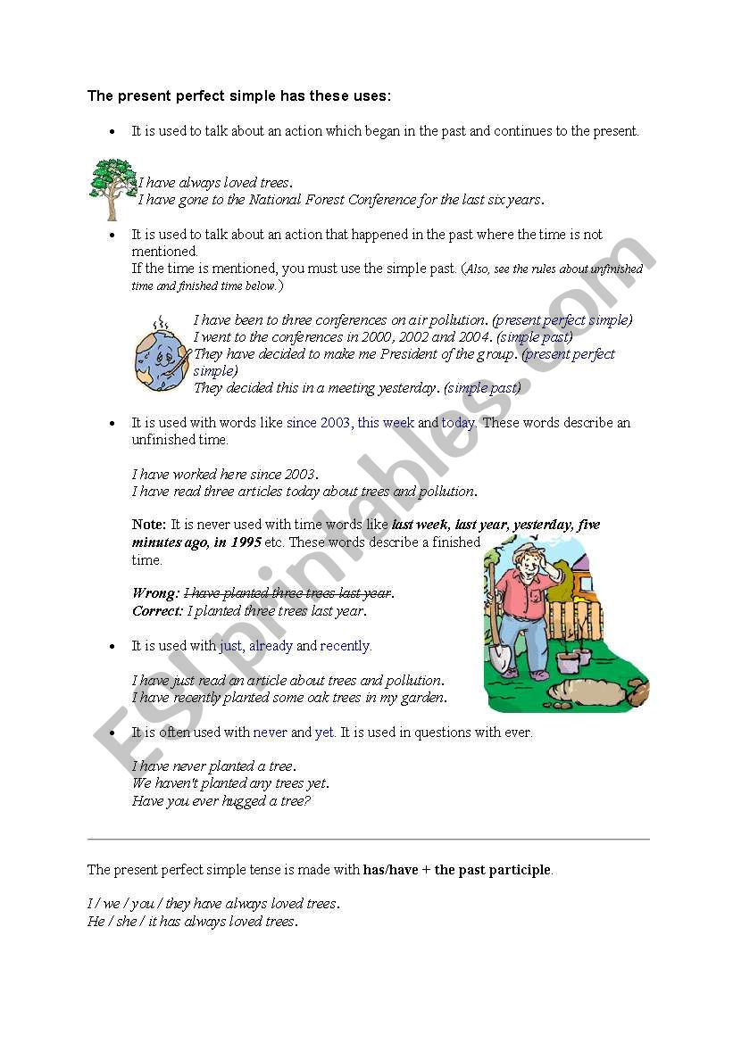 the present perfect simple worksheet