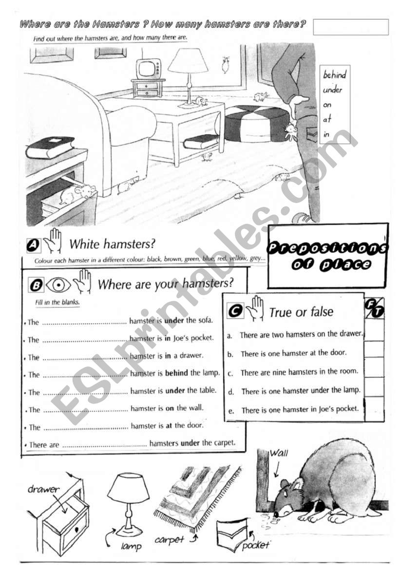 Where are the hamsters? worksheet