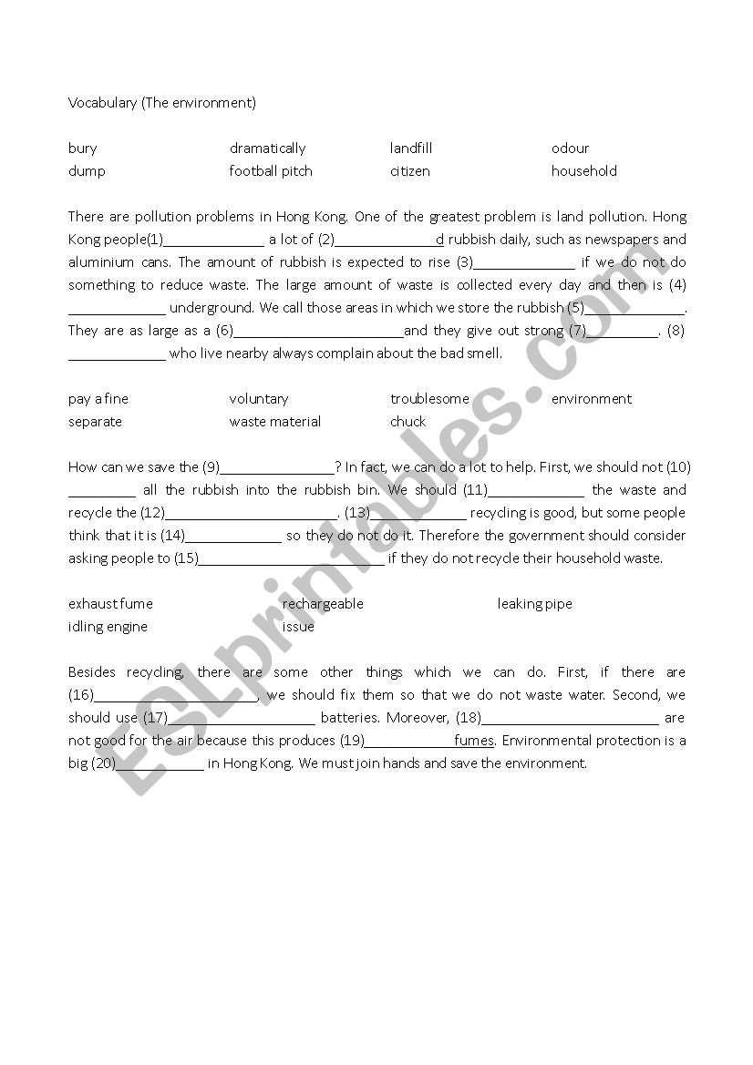 Vocabulary (The Environment) worksheet